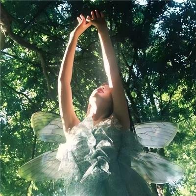 反社交网络：从网络梗到大灾祸